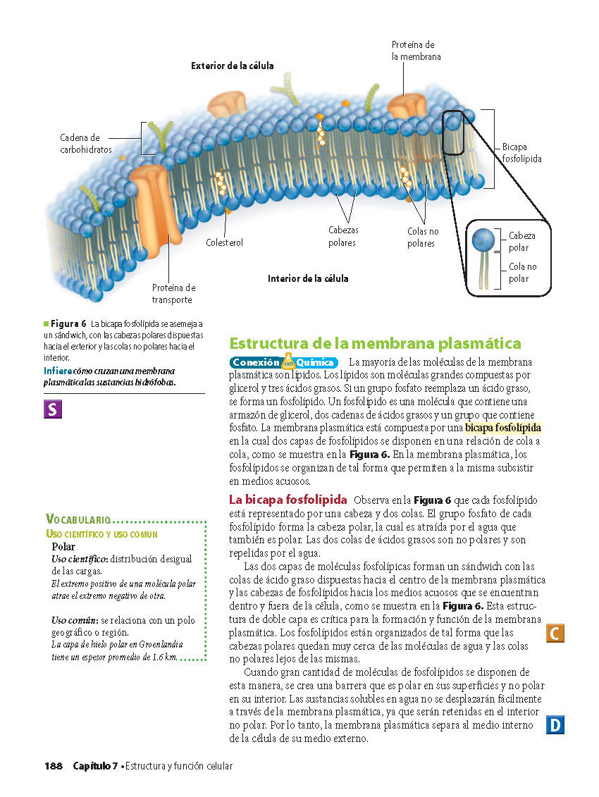 Aseguramiento de calidad | Intertext